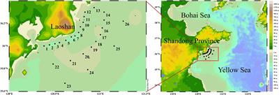 Exploring the key factors affecting the seasonal variation of phytoplankton in the coastal Yellow Sea